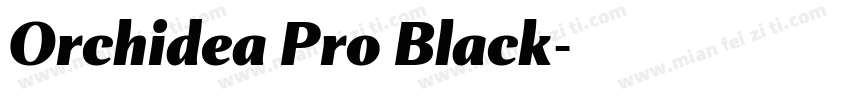Orchidea Pro Black字体转换